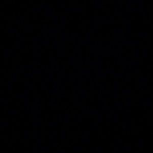 Meet your Posher, Tala